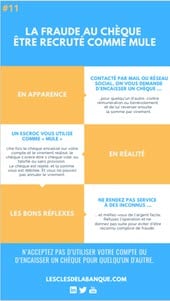 Infographie sur la fraude au chèque être recruté comme mule 