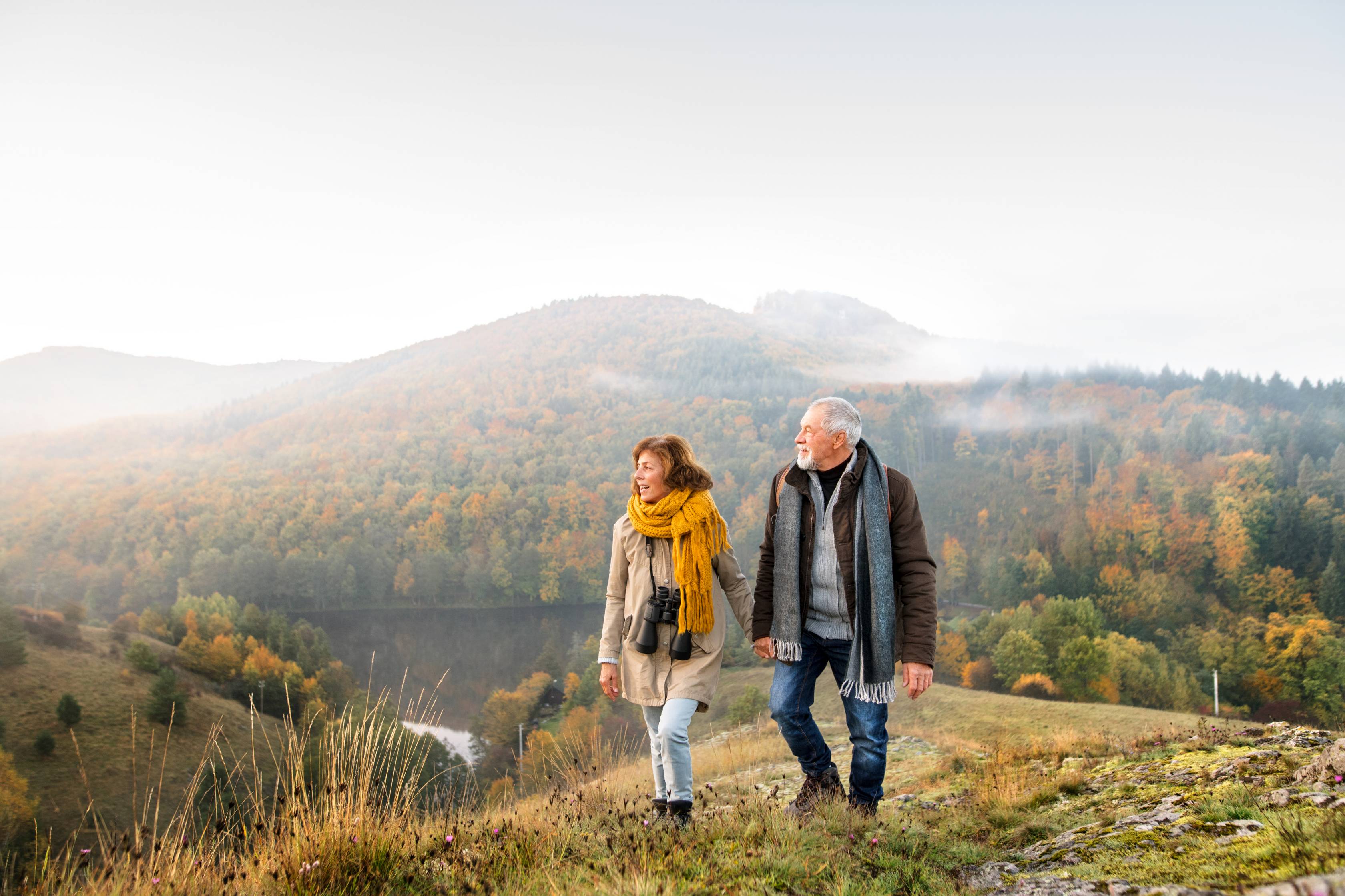 Assurance vie investissement
