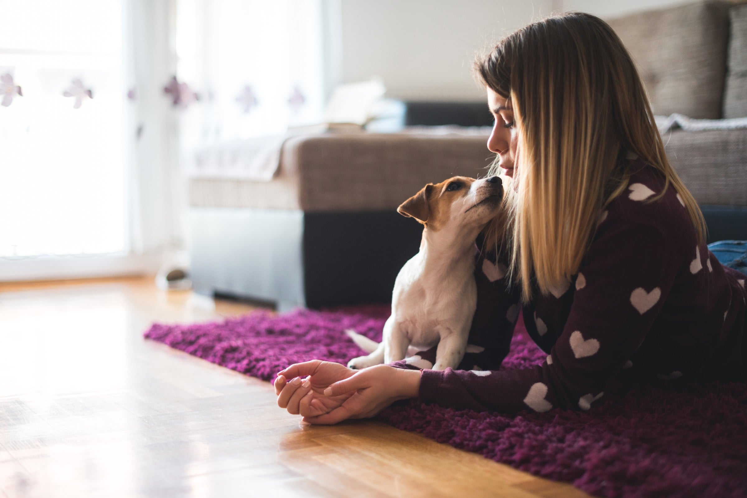assurance santé animal