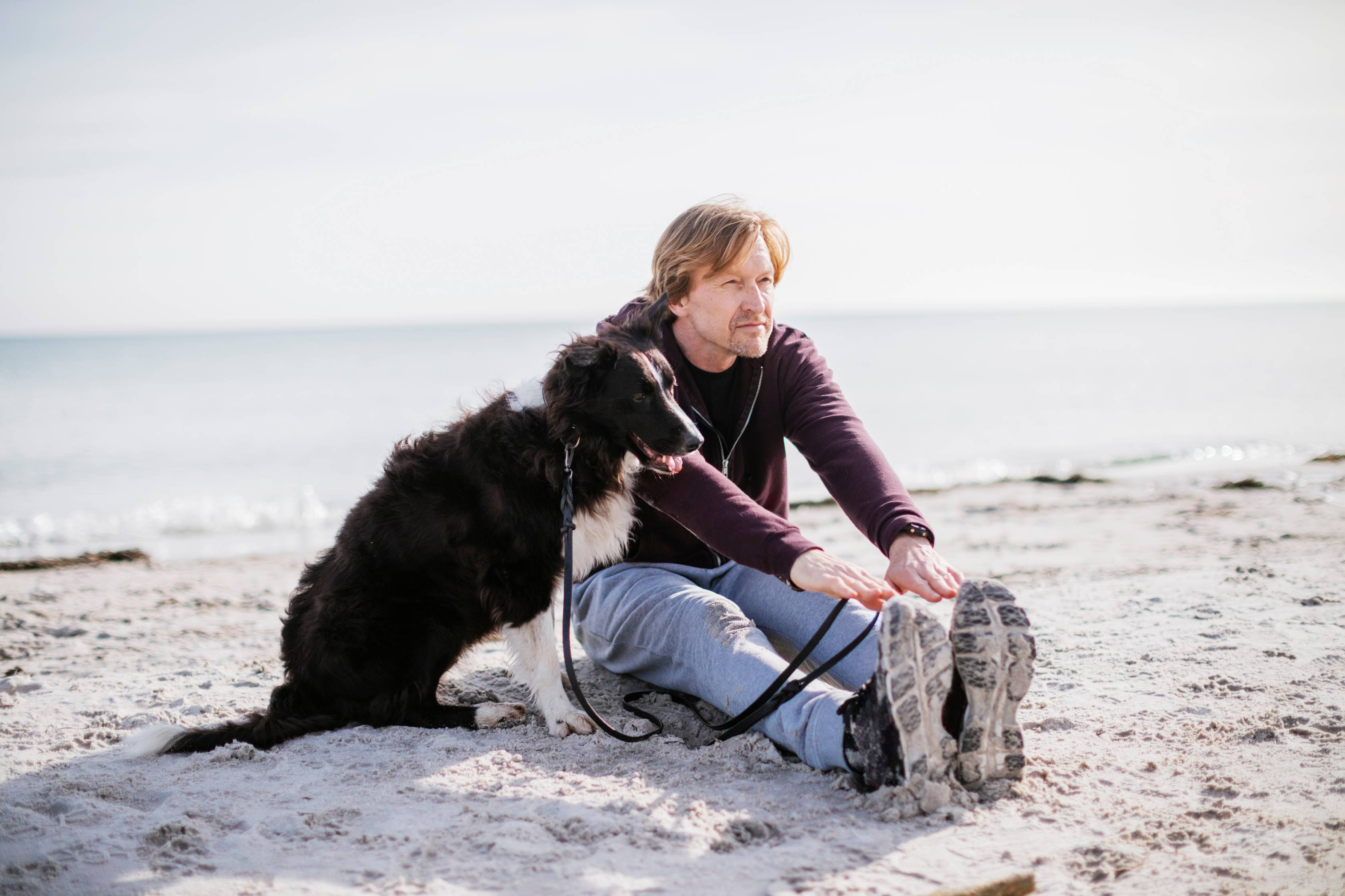 assurance animal domestique