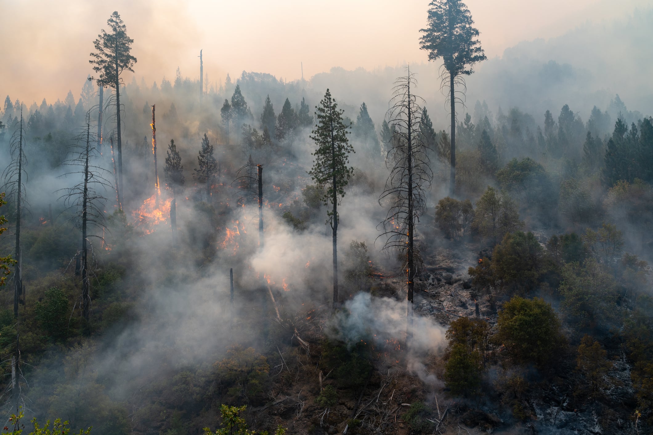 incendie