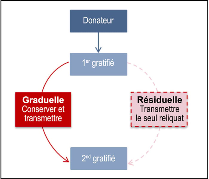 schéma expertises