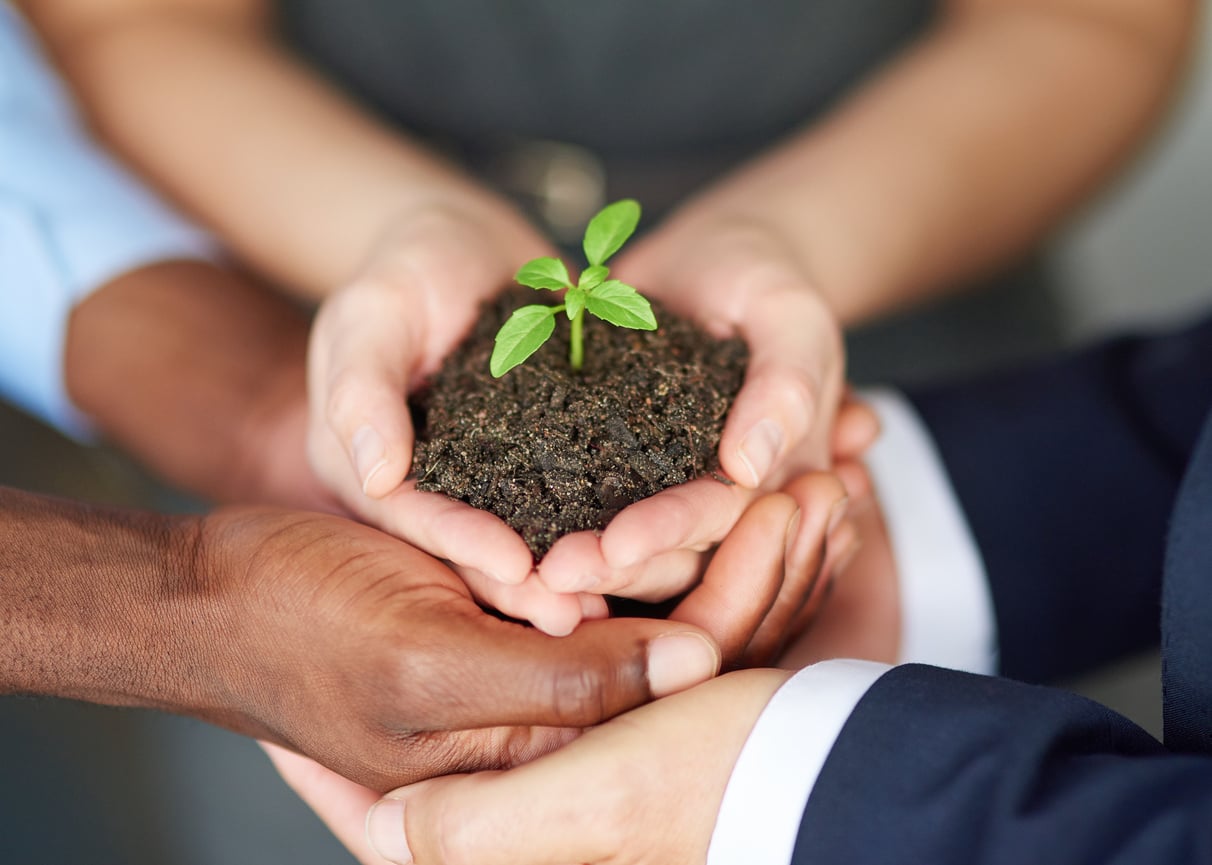 Bas-carbone investissement allianz france